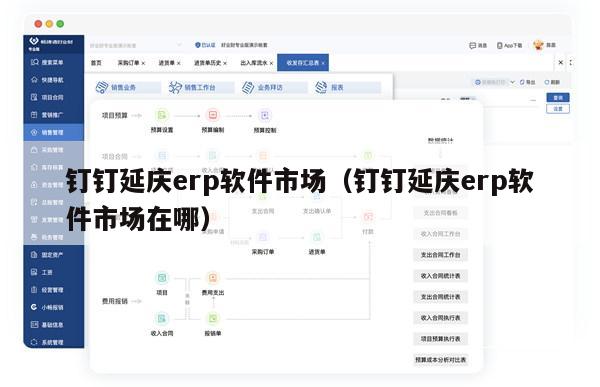 钉钉延庆erp软件市场（钉钉延庆erp软件市场在哪）