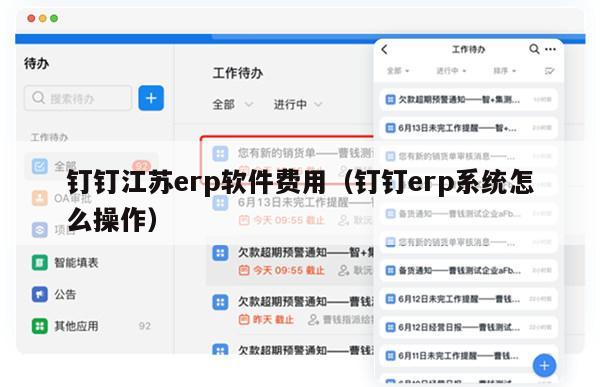 钉钉江苏erp软件费用（钉钉erp系统怎么操作）