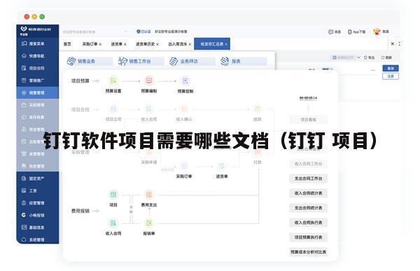 钉钉软件项目需要哪些文档（钉钉 项目）