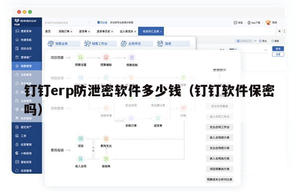 钉钉erp防泄密软件多少钱（钉钉软件保密吗）