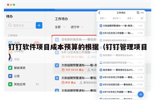 钉钉软件项目成本预算的根据（钉钉管理项目）