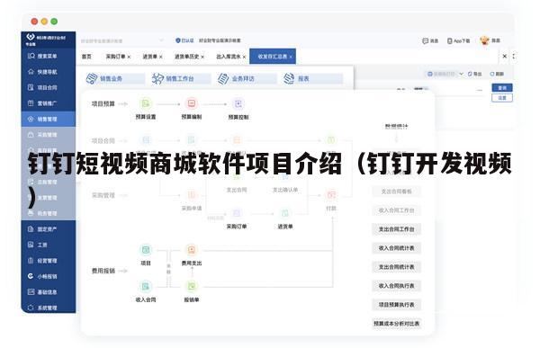 钉钉短视频商城软件项目介绍（钉钉开发视频）