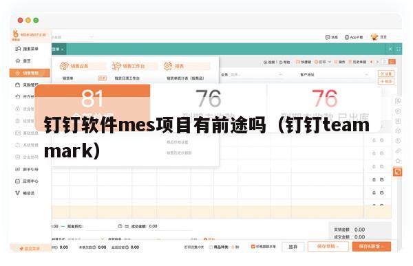 钉钉软件mes项目有前途吗（钉钉teammark）