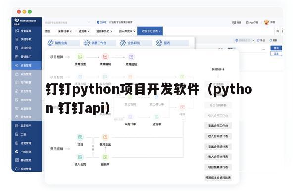 钉钉python项目开发软件（python 钉钉api）