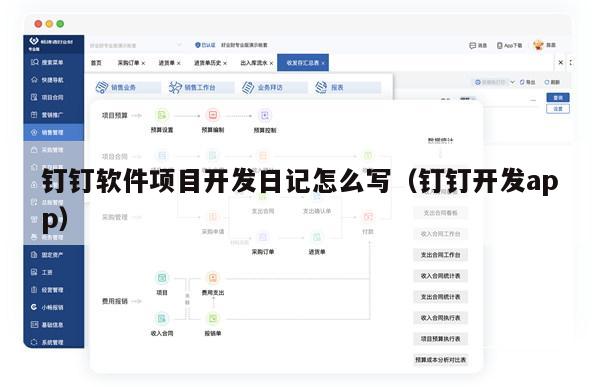 钉钉软件项目开发日记怎么写（钉钉开发app）