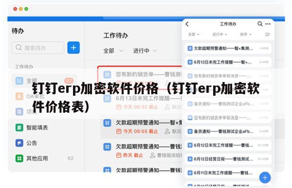 钉钉erp加密软件价格（钉钉erp加密软件价格表）