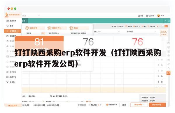 钉钉陕西采购erp软件开发（钉钉陕西采购erp软件开发公司）