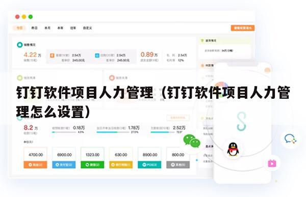 钉钉软件项目人力管理（钉钉软件项目人力管理怎么设置）