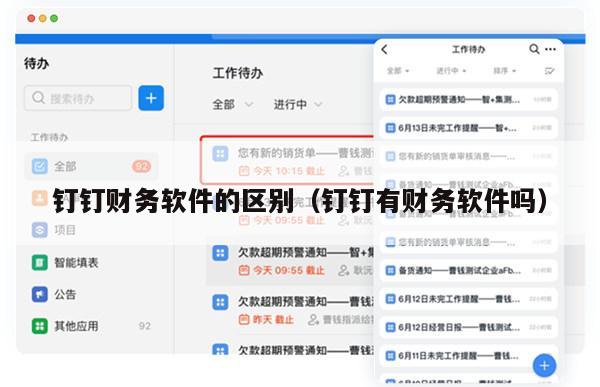 钉钉财务软件的区别（钉钉有财务软件吗）