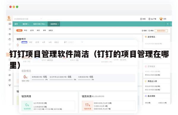 钉钉项目管理软件简洁（钉钉的项目管理在哪里）