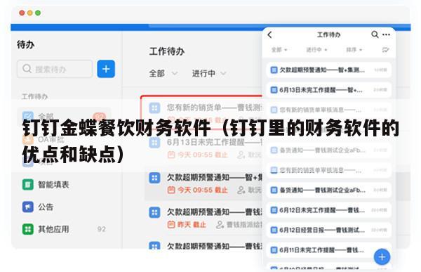 钉钉金蝶餐饮财务软件（钉钉里的财务软件的优点和缺点）