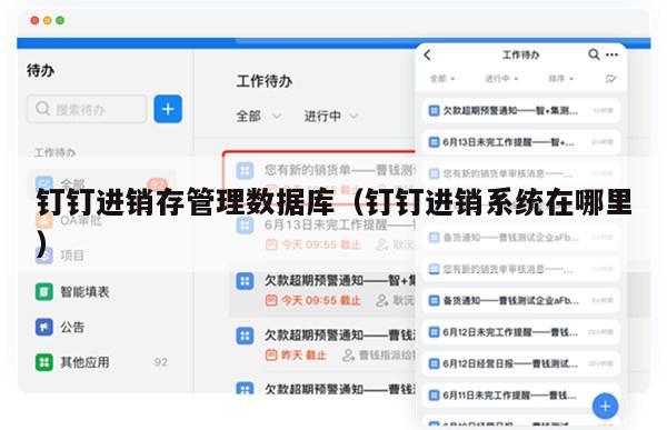 钉钉进销存管理数据库（钉钉进销系统在哪里）
