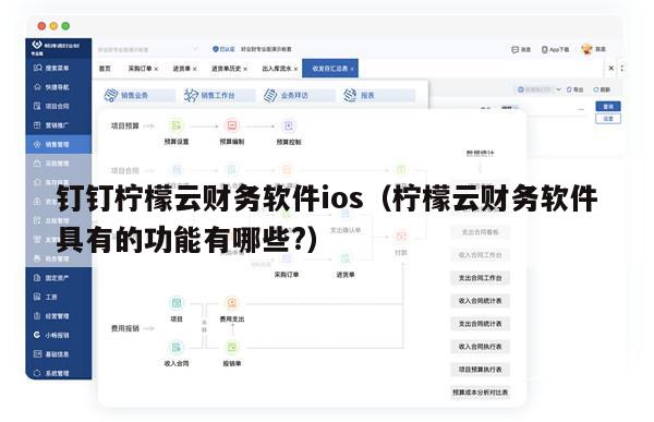 钉钉柠檬云财务软件ios（柠檬云财务软件具有的功能有哪些?）