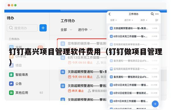钉钉嘉兴项目管理软件费用（钉钉做项目管理）