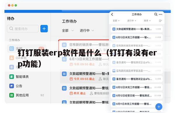 钉钉服装erp软件是什么（钉钉有没有erp功能）