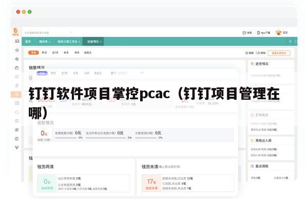 钉钉软件项目掌控pcac（钉钉项目管理在哪）