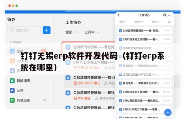 钉钉无锡erp软件开发代码（钉钉erp系统在哪里）