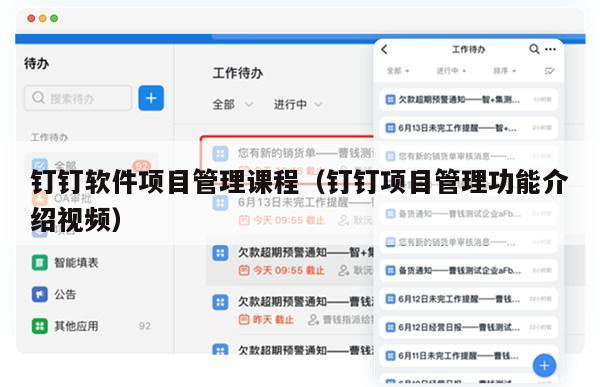钉钉软件项目管理课程（钉钉项目管理功能介绍视频）