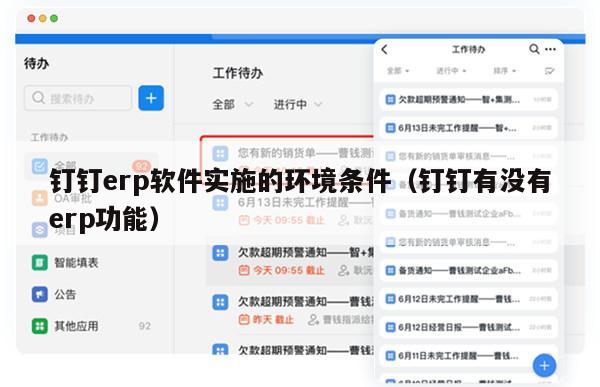 钉钉erp软件实施的环境条件（钉钉有没有erp功能）