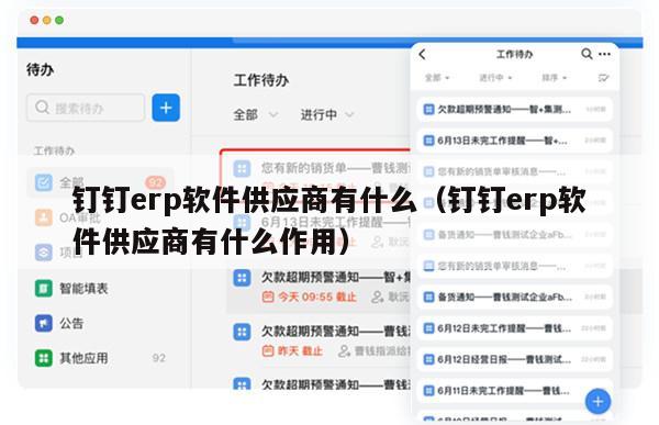 钉钉erp软件供应商有什么（钉钉erp软件供应商有什么作用）