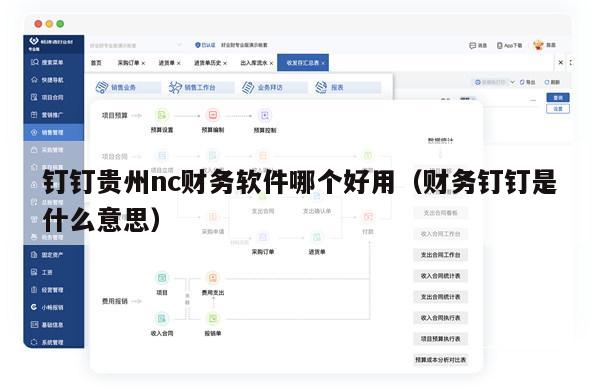 钉钉贵州nc财务软件哪个好用（财务钉钉是什么意思）