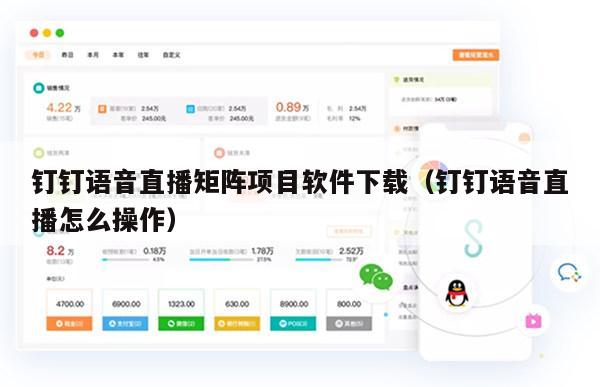 钉钉语音直播矩阵项目软件下载（钉钉语音直播怎么操作）