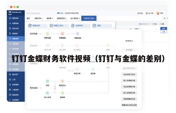 钉钉金蝶财务软件视频（钉钉与金蝶的差别）