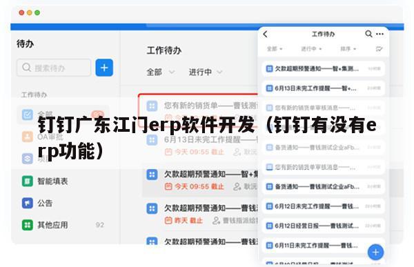 钉钉广东江门erp软件开发（钉钉有没有erp功能）
