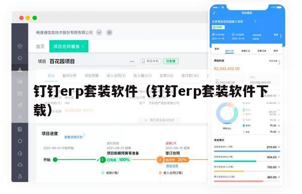 钉钉erp套装软件（钉钉erp套装软件下载）