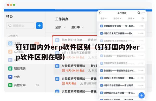 钉钉国内外erp软件区别（钉钉国内外erp软件区别在哪）