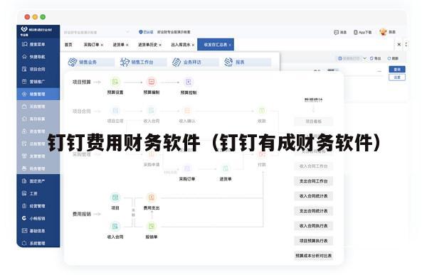 钉钉费用财务软件（钉钉有成财务软件）