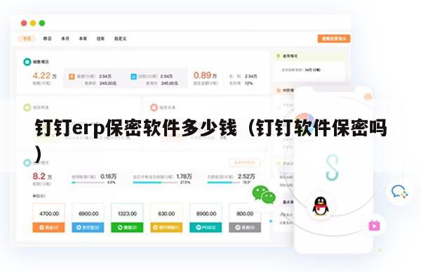 钉钉erp保密软件多少钱（钉钉软件保密吗）