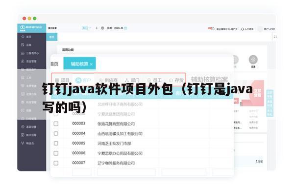 钉钉java软件项目外包（钉钉是java写的吗）