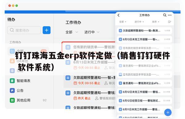 钉钉珠海五金erp软件定做（销售钉钉硬件 软件系统）