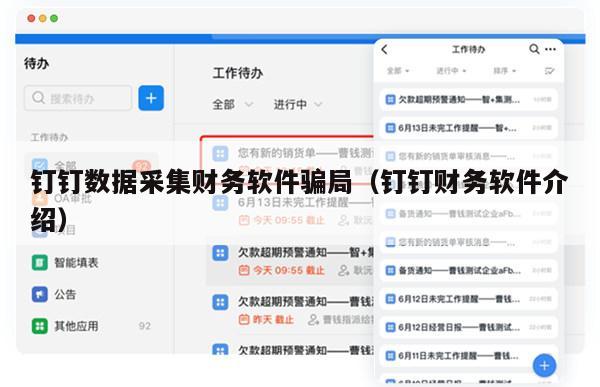 钉钉数据采集财务软件骗局（钉钉财务软件介绍）