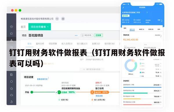 钉钉用财务软件做报表（钉钉用财务软件做报表可以吗）