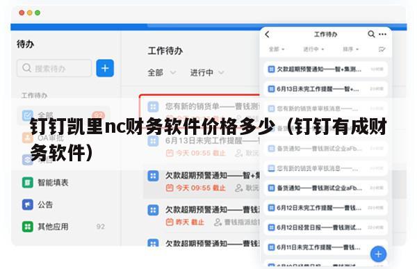 钉钉凯里nc财务软件价格多少（钉钉有成财务软件）