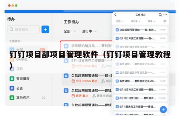 钉钉项目部项目管理软件（钉钉项目管理教程）