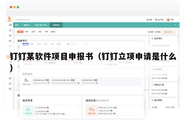 钉钉某软件项目申报书（钉钉立项申请是什么）