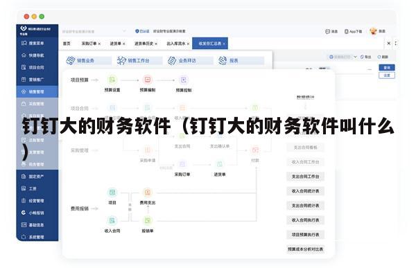 钉钉大的财务软件（钉钉大的财务软件叫什么）
