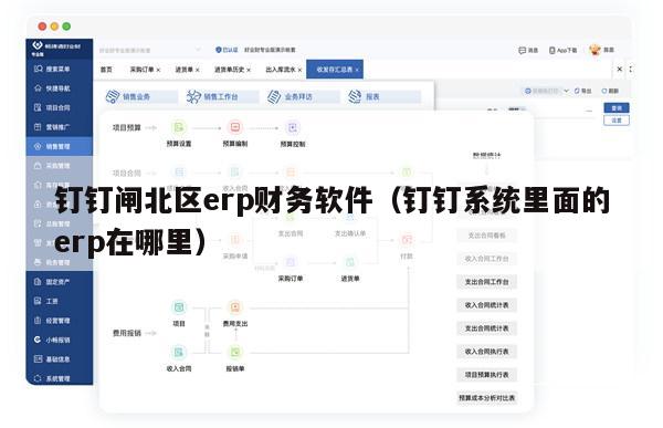 钉钉闸北区erp财务软件（钉钉系统里面的erp在哪里）
