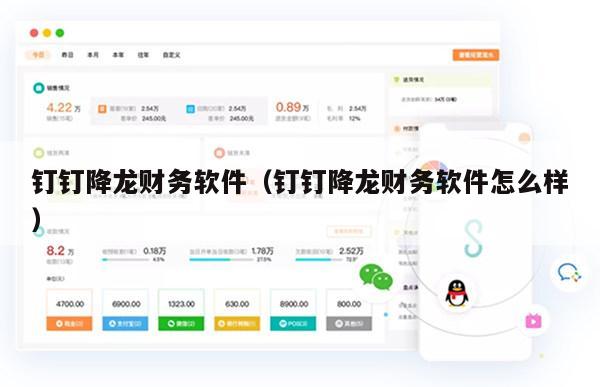 钉钉降龙财务软件（钉钉降龙财务软件怎么样）