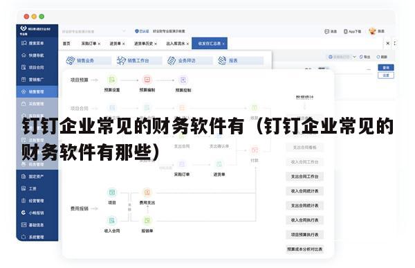 钉钉企业常见的财务软件有（钉钉企业常见的财务软件有那些）