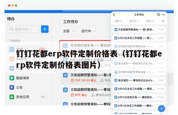 钉钉花都erp软件定制价格表（钉钉花都erp软件定制价格表图片）