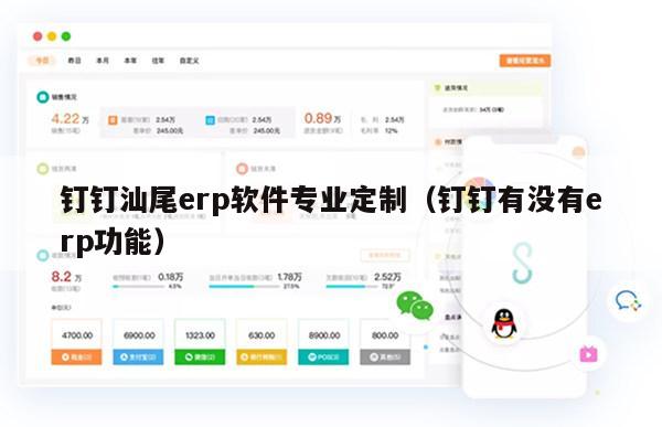 钉钉汕尾erp软件专业定制（钉钉有没有erp功能）