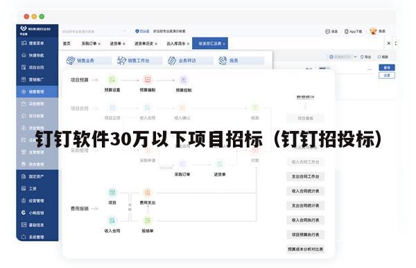 钉钉软件30万以下项目招标（钉钉招投标）