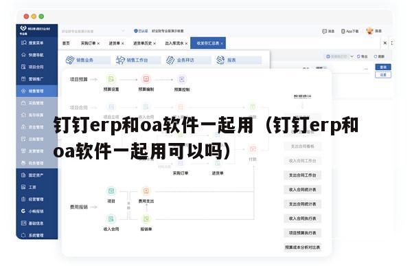 钉钉erp和oa软件一起用（钉钉erp和oa软件一起用可以吗）