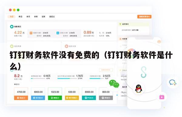 钉钉财务软件没有免费的（钉钉财务软件是什么）