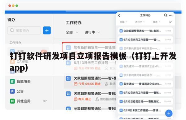 钉钉软件研发项目立项报告模板（钉钉上开发app）