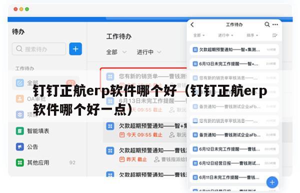 钉钉正航erp软件哪个好（钉钉正航erp软件哪个好一点）